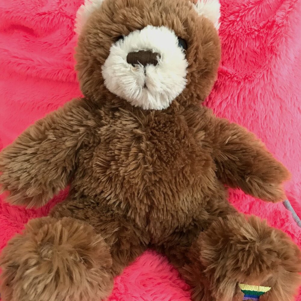 Noah's Ark Teddy Bear, Brown, 12 inches Tall, Plush Toy - Picture 1 of 6
